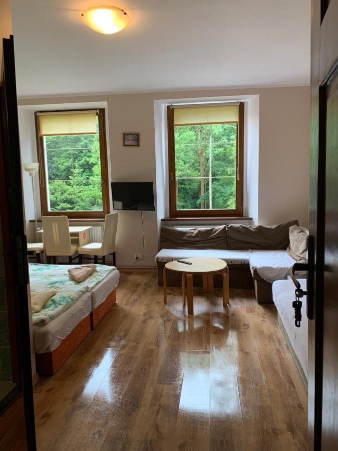 Apartamenty pokoje MARIA Lądek-Zdrój Zewnętrze zdjęcie